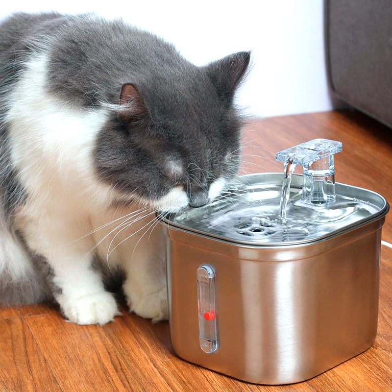 FO5 Pet Water Fountain Stainless Steel,74oz/2.2L Automatic Water Dispenser with Water Level, Replacement Filter Kit and Silicone Mat Suitable for Cat, Dogs